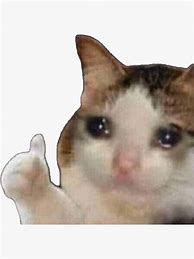 Image result for Sad Cat with Thumbs Up Meme