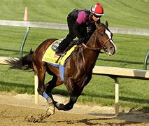 Image result for Derby Horse Racing