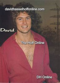Image result for David Hasselhoff 70s