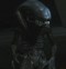 Image result for alien�feno