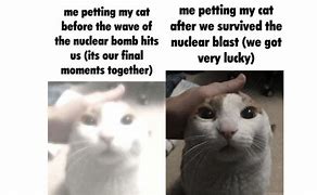 Image result for Bomb Cat Meme