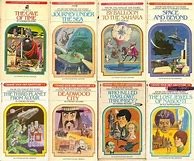 Image result for Choose Your Own Adventure Book Covers