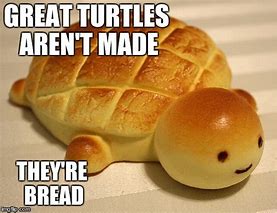 Image result for Bread Turtle Meme