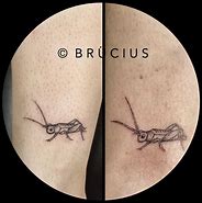 Image result for Cricket Tattoo with Music Staff