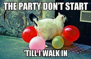 Image result for Party Hard Funny