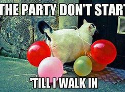 Image result for Party Time Meme
