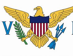 Image result for United States Virgin Islands Flag