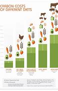 Image result for Vegan Diet History