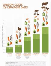 Image result for Vegan vs Non-Vegan