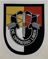 Image result for 3rd SFG Patch