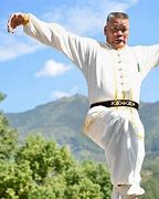 Image result for Kung Fu Styles to Protect Our Selves