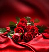 Image result for Beautiful Red Rose Love