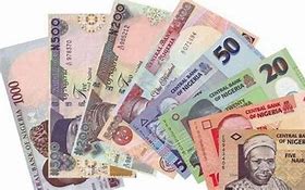 Image result for Naira Mint