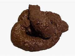 Image result for Pile of Poop