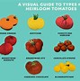Image result for Heirloom Tomato