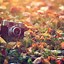 Image result for Aesthetic Camera Background