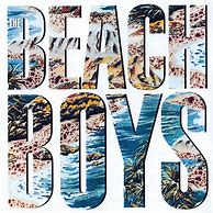 Image result for The Beach Boys Albums