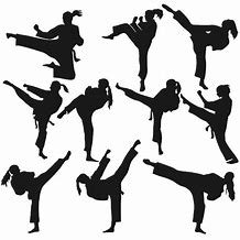 Image result for Karate Girl Silhouette Vector