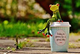 Image result for Frog Smile Meme Working Out