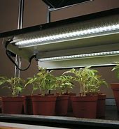Image result for Hanging Grow Lights