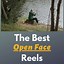 Image result for Open Face Reel