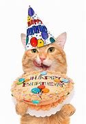 Image result for Birthday Cat Art