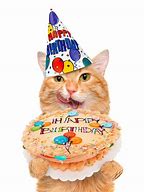Image result for Cat Says Happy Birthday