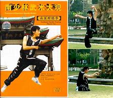 Image result for Praying Mantis Kung Fu Plum Blossom