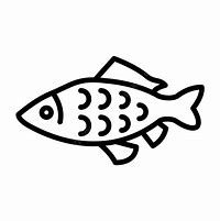 Image result for Carp Decals