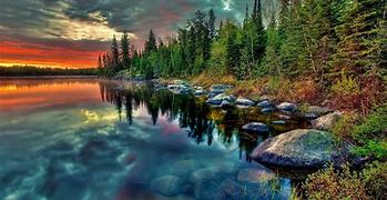 Image result for Windows 1.0 Background Nature