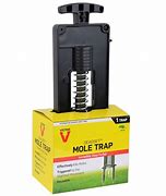 Image result for Victor Mole Trap