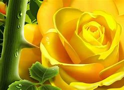 Image result for Pastel Yellow Flowers