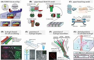 Image result for Biomedical Devices