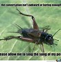 Image result for Cricket Insect Sound Memes