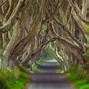 Image result for Game of Thrones Dark Hedges Ireland