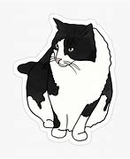 Image result for Black White Cat Meme