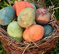 Image result for Bushel Basket Nest