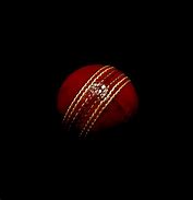 Image result for Cricket Ball 4K Animation