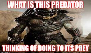 Image result for Sad Predator Meme