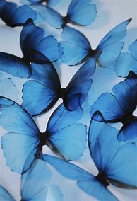 Image result for Blau Aesthetic