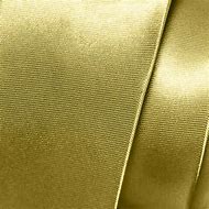 Image result for Champagne Gold Satin