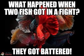 Image result for This Fish Has No Clue Meme