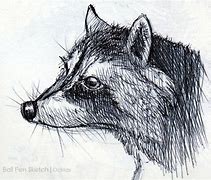 Image result for Pen and Paper Sketch
