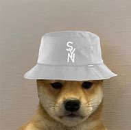 Image result for 1080X1080 Dog Meme Hat