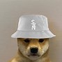 Image result for Cool Dog PFP 1080X1080