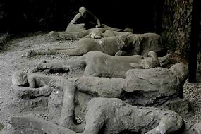 Image result for Pompeii Volcanic Eruption Victims
