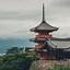 Image result for Kyoto Japan Skyline