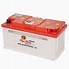 Image result for Tiger Head Dry Charge Battery