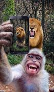 Image result for Kids Scary Animal Phone