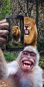 Image result for Funny Phone Animal